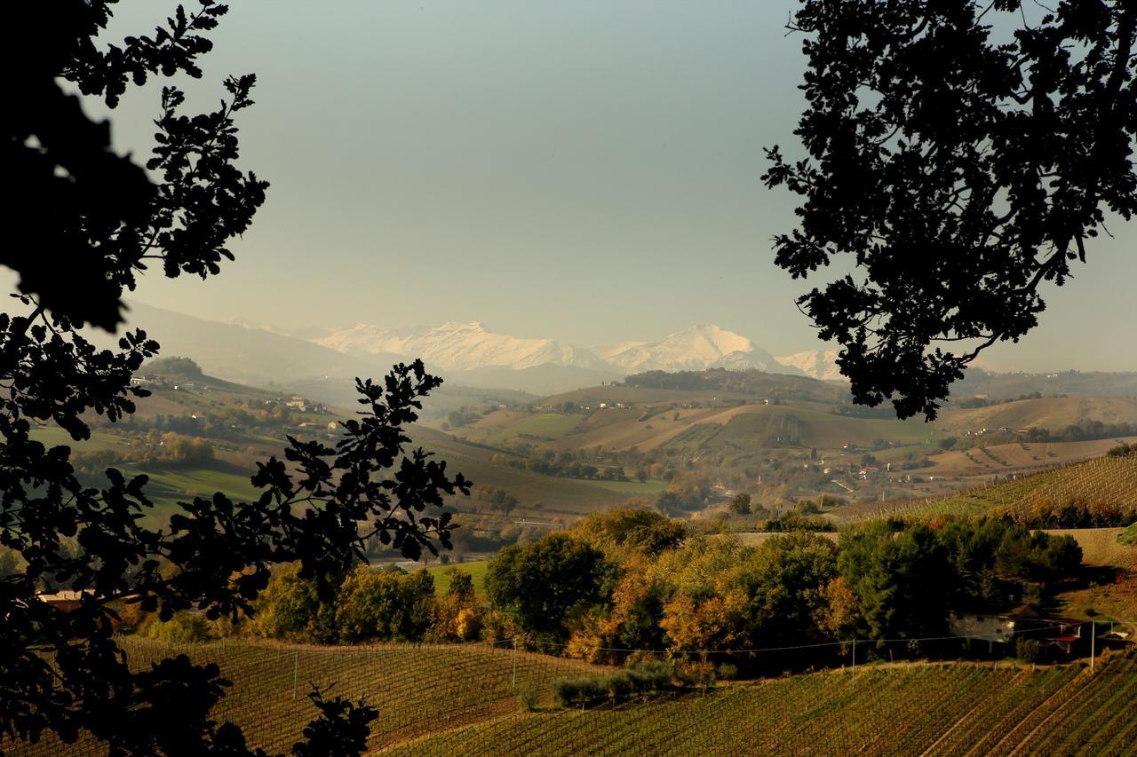 코시냐노 La Casa In Campagna B&B 외부 사진