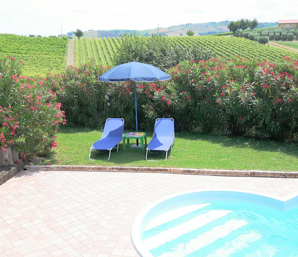 코시냐노 La Casa In Campagna B&B 외부 사진