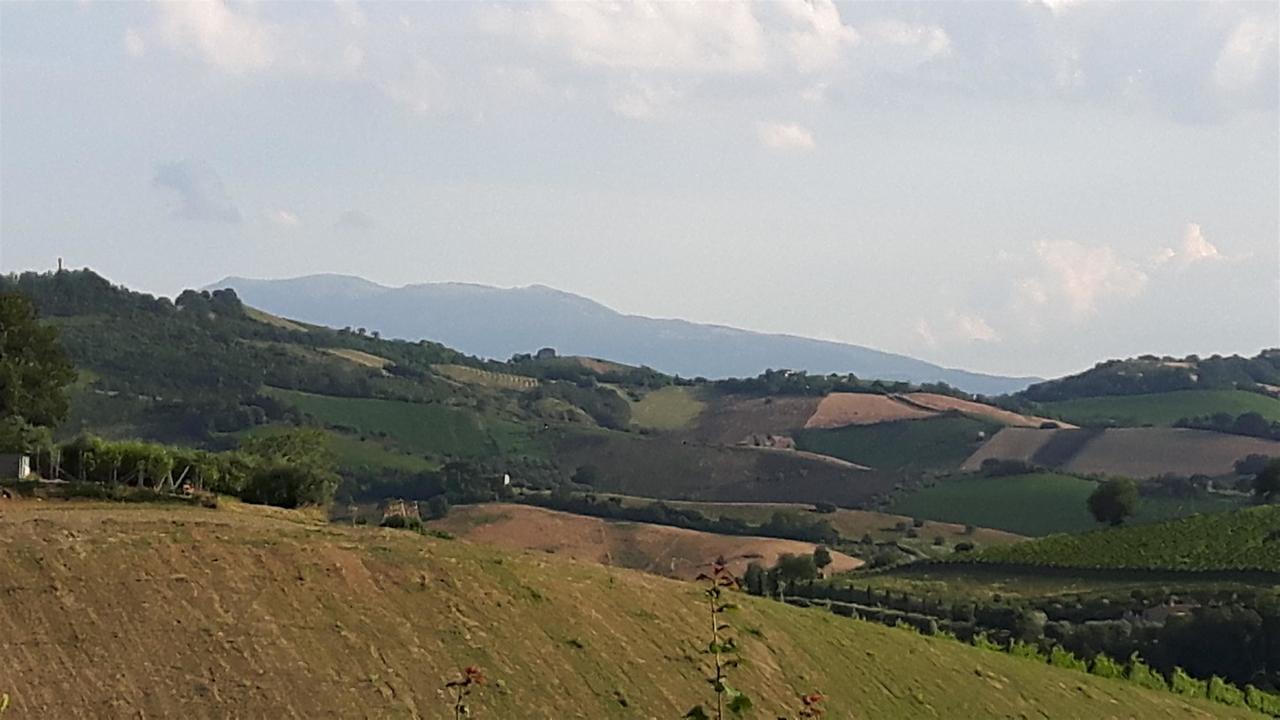 코시냐노 La Casa In Campagna B&B 외부 사진