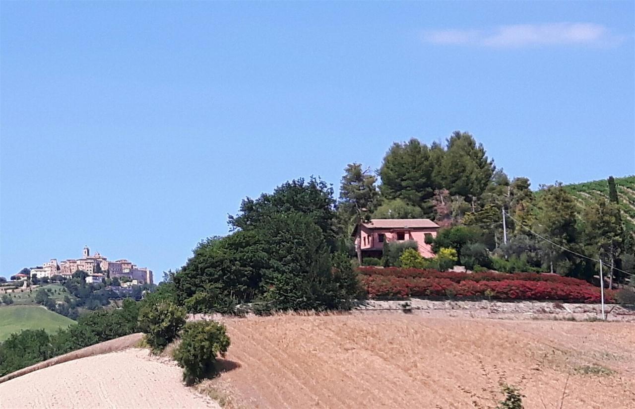 코시냐노 La Casa In Campagna B&B 외부 사진