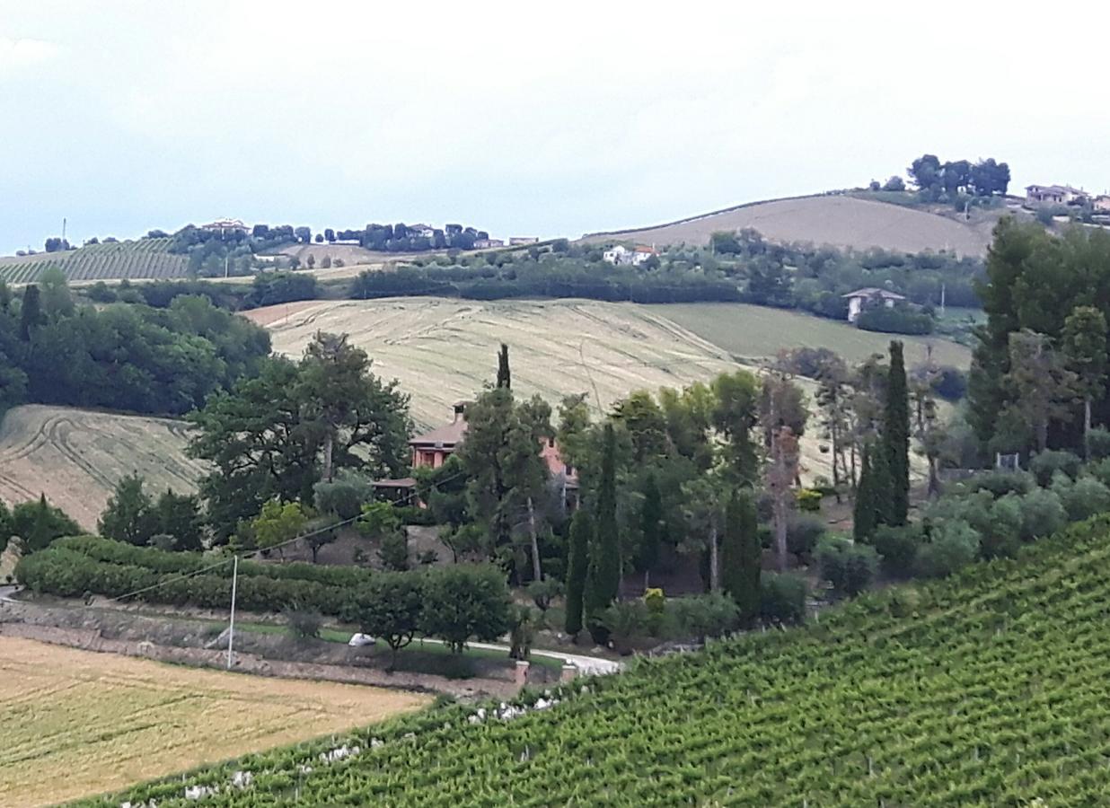 코시냐노 La Casa In Campagna B&B 외부 사진