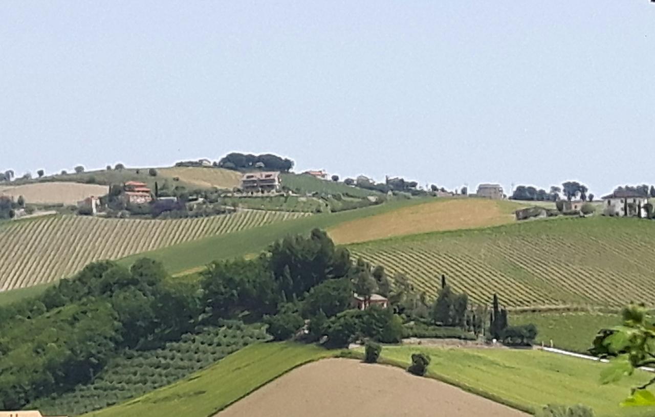 코시냐노 La Casa In Campagna B&B 외부 사진