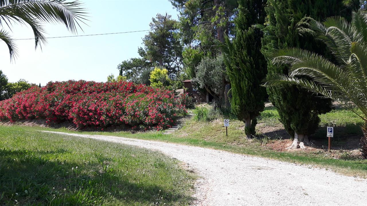 코시냐노 La Casa In Campagna B&B 외부 사진
